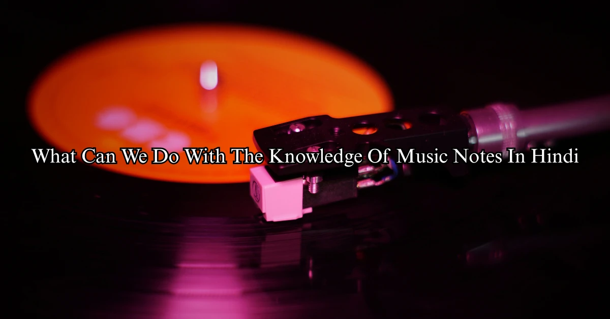 What Can We Do With The Knowledge Of Music Notes (Hindi)
